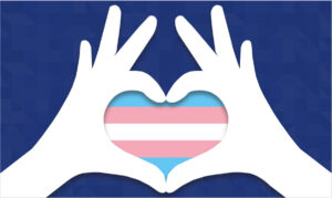 Hand making trans flag in the shape of a heart